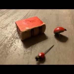 For the ladybug lover 🐞 ❤️